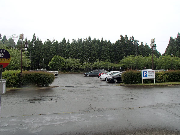 雨が降ってきた